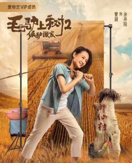 我和我的父辈迅雷下载